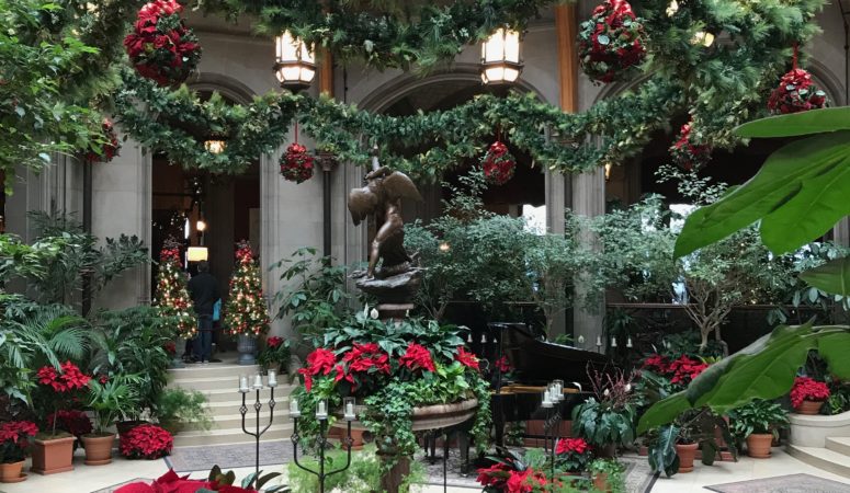 5 Things to Do at Biltmore Estate at Christmas