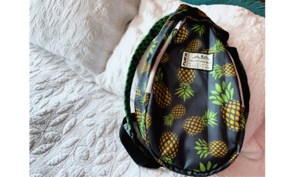 Pack a Disney Park Bag With Everything You Need!!