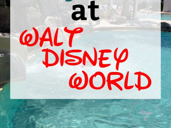 Ways to Stay Cool at Walt Disney World in the Summer